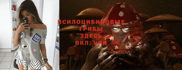 a pvp Верея