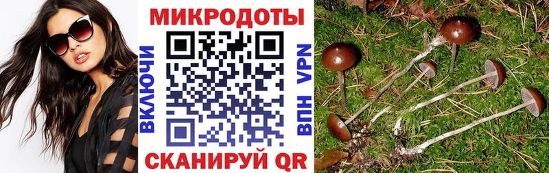 Псилоцибиновые грибы мухоморы  Владикавказ 